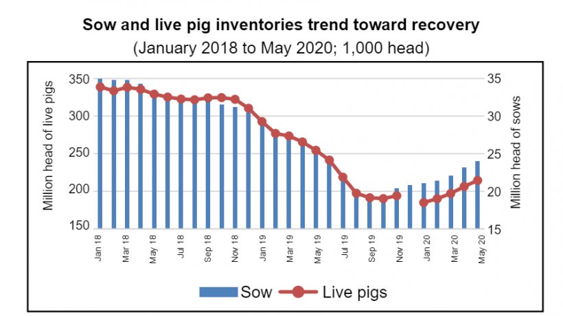 December 2019 data not available. Source: MARA
