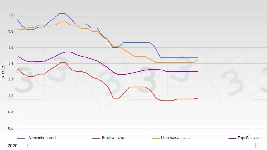 Evolution of pig prices in several European countries from January to August 2020.

