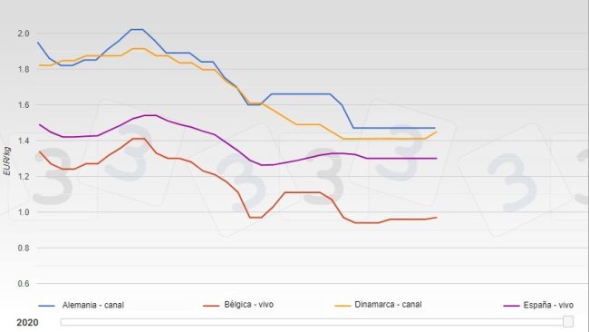 Evolution of pig prices in several European countries from January to August 2020.