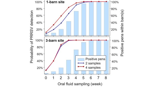 Figure 1. PRRSV detection using fixed spatial sampling. Probability of detecting ≥ 1 PRRSV positive samples as a function of the number of oral fluids tested per barn (2 or 4) and number of barns per site (1 or 3). Note that the probability of detection increases geometrically with the number of barns sampled. Data from Rotolo et al., (2017).