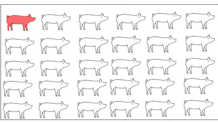 Figure 1. A natural infection model was used to evaluate detection of Mycoplasma hyopneumoniae post-contact with an infectious gilt. X-axis: Weeks post-contact. Samples were collected in live gilts from Day 0 until 8 weeks post-contact.
