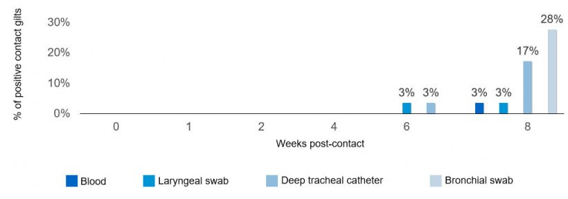 Figure 2. Proportion of Mycoplasma hyopneumoniae positive contact gilts based on sample type and time post-contact with an infectious gilt.
