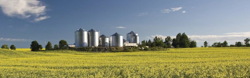 Image 2. Feed processing facility in North America. Source ANACAN.
