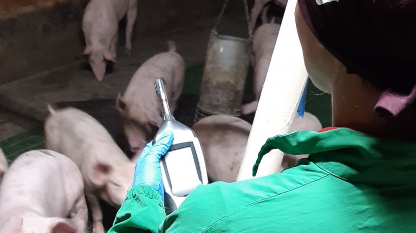 Image 1. Air quality assessments at the farm. Photo courtesy of Annalisa Scollo.
