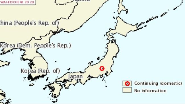 Current outbreak of CSF in domestic pigs in Japan. Source: OIE.