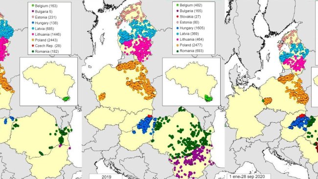 Map of ASF cases in wild boar reported in 2018, 2019 and 2020 (as of September, 2020) (Source: MAPA based on RASVE-ADNS data)