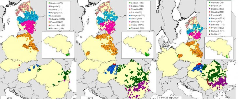 Map of ASF cases in wild boar reported in 2018, 2019 and 2020 (as of September, 2020) (Source: MAPA based on RASVE-ADNS data)
