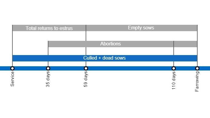 Types of gestation losses that can lower the farrowing rate, detailing the different types of returns to estrus based on when they occur.
