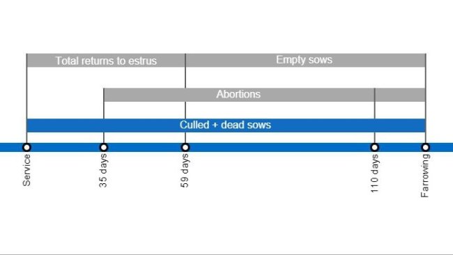 Types of gestation losses that can lower the farrowing rate, detailing the different types of returns to estrus based on when they occur.