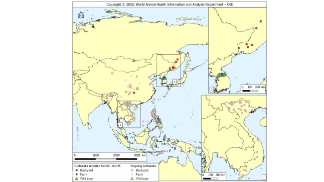 Notified ASF outbreaks within the period (higher intensity colors) and ongoing outbreaks (lighter intensity colors). Source: OIE.