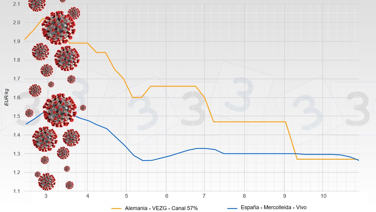Evolution of the price of pork following&nbsp;COVID-19 (German price&nbsp;in carcass,&nbsp;Spanish price in live)
