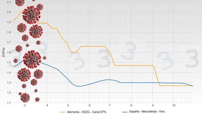 Evolution of the price of pork following COVID-19 (German price in carcass, Spanish price in live)