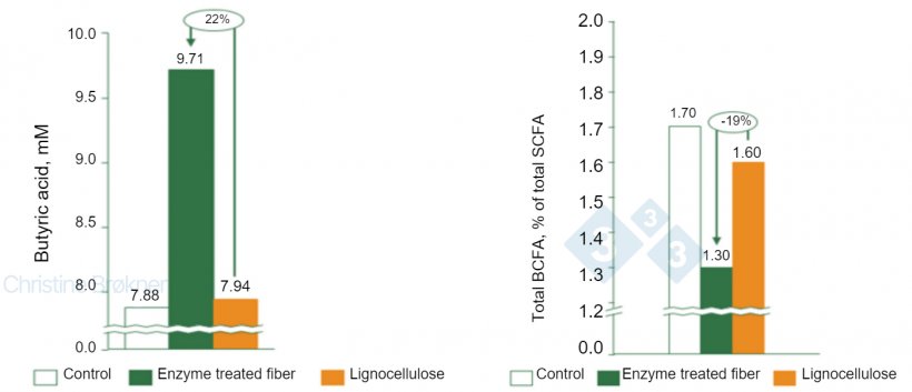 Figure 1. Control = no fiber, Enzyme treated fiber = soluble NSP, Lignocellulose = insoluble NSP. (A) Butyric acid production increases by 22% in piglet (15 kg) when fermenting soluble fibers. (B) Protein fermentation reduced by 19% in piglet (15 kg) when fermenting soluble fibers. SCFA = short chain fatty acids, BCFA = branched chain fatty acids.
