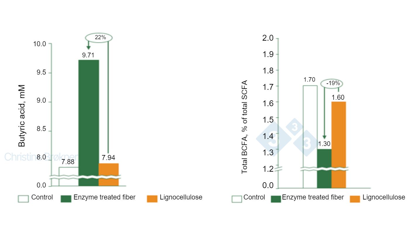 Figure 1. Control = no fiber, Enzyme treated fiber = soluble NSP, Lignocellulose = insoluble NSP. (A) Butyric acid production increases by 22% in piglet (15 kg) when fermenting soluble fibers. (B) Protein fermentation reduced by 19% in piglet (15 kg) when fermenting soluble fibers. SCFA = short chain fatty acids, BCFA = branched chain fatty acids.
