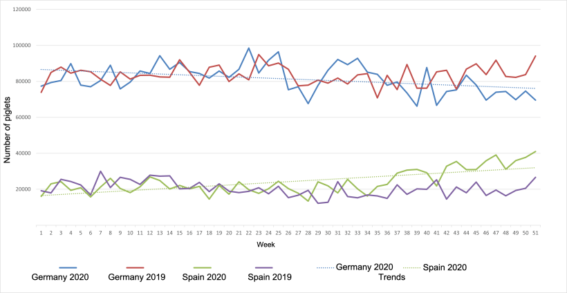 Weekly evolution of Dutch piglet exports to Germany and Spain for 2019 and 2020.
