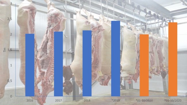 Spanish exports of pork products. Source: 333 based on Inteporc data.
*Provisional data