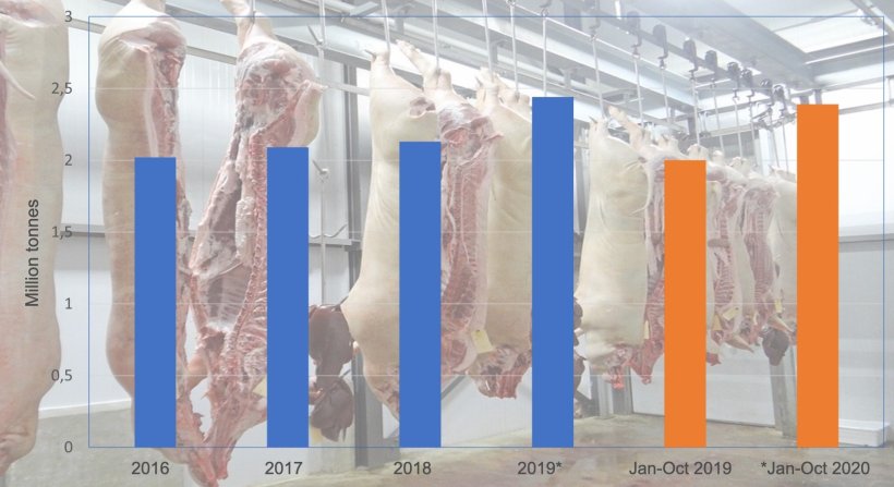 Spanish exports of pork products. Source: 333 based on Inteporc data.
*Provisional data
