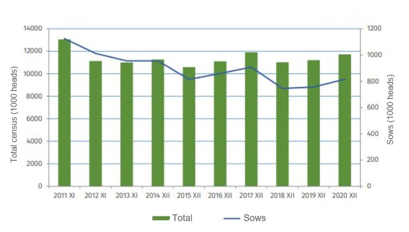 Poland pig population since 2011. (Source: GUS)