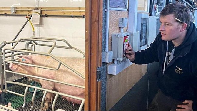 Farmex dealer John Graham has installed several upgrades recently.