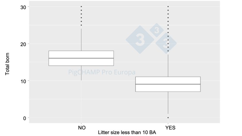 Figure 4. Box plot representation of the number of total piglets born according to BA litter size, 2018-2019.
