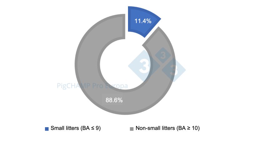 Figure 1. Percent distribution of litters by size, 2018-2019.
