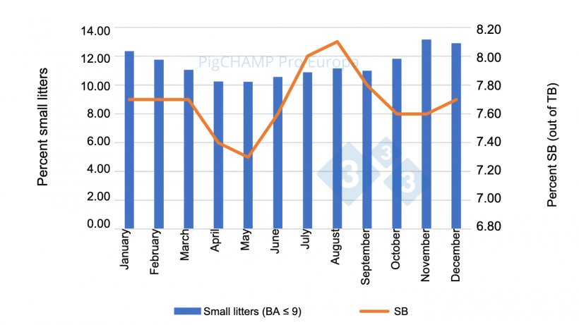 Figure 3. Percent distribution of SB piglets and small litters (BA &le; 9 piglets), 2018-2019.
