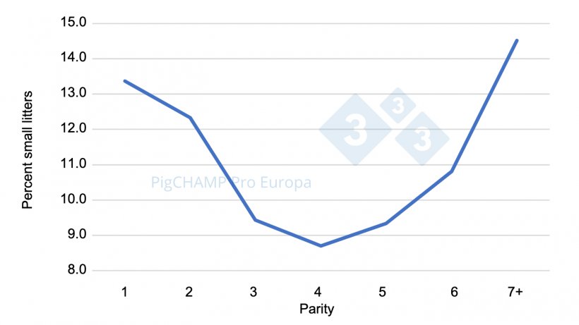 Figure 2. Percent distribution of small litters (BA &le; 9 piglets) by parity, 2018-2019.
