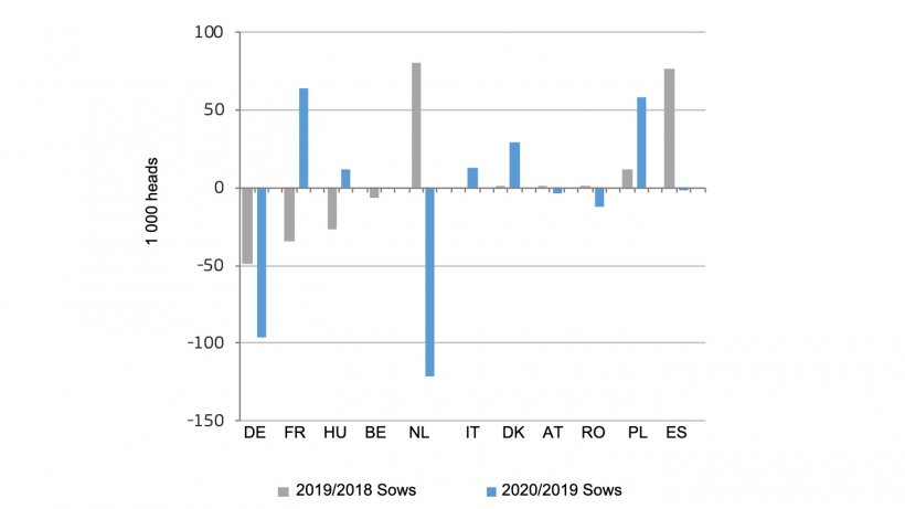 Change in number of breeding sows in main producing EU countries. Source:&nbsp;DG Agriculture and Rural Development, based on Eurostat.
