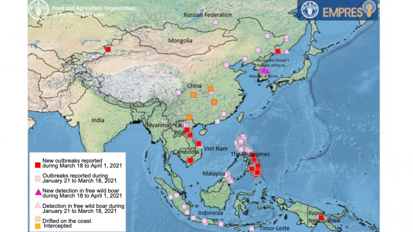 Source: FAO.