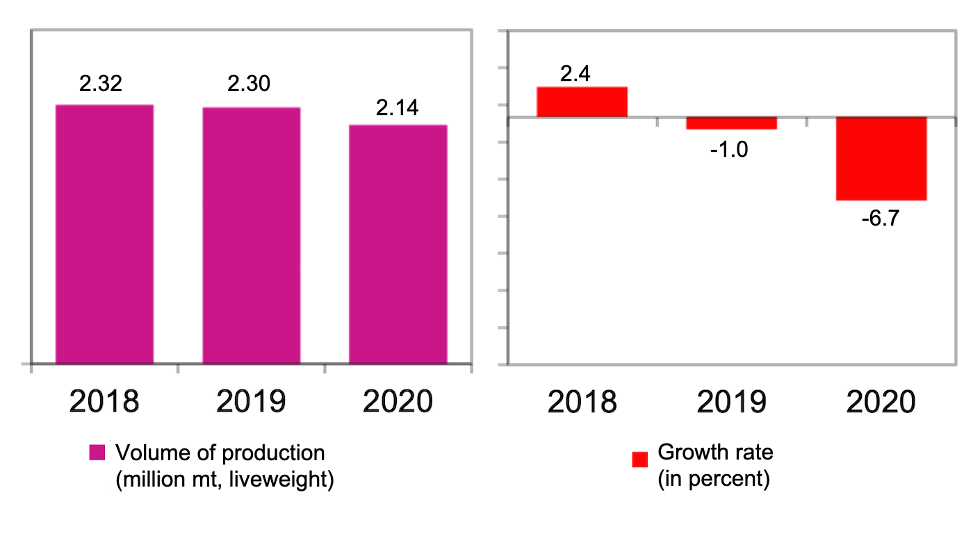 Evolution of the Philippine swine industry in 2020 Swine news