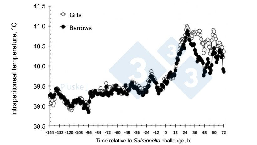 Figure 2. Effect of being a gilt or a barrow on the intraperitoneal temperature response to an oral Salmonella typhimurium challenge. There was a sex by time interaction (P < 0.001) with gilts having a greater temperature response than barrows from 36 to 63 and at 72 h after challenge (after Burdick Sanchez et al., 2017).
