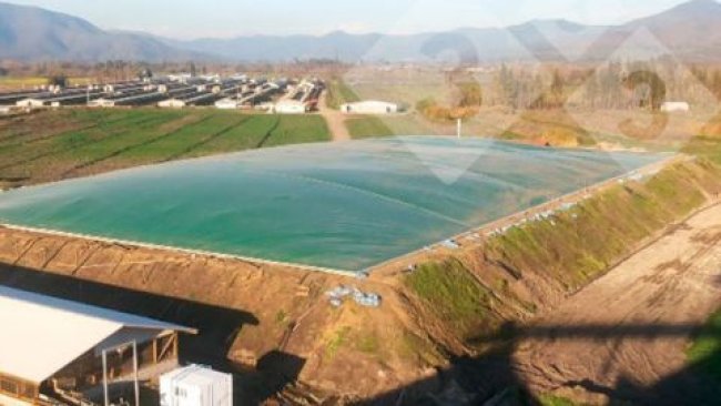 Figure 2. Typical digesters in the swine industry. Left: Anaerobic complete mix reactor with co-digestion on a pig farm (courtesy of Ecobiogas, Vila-sana, Lleida); Right: Covered anaerobic lagoon with gas recovery (courtesy of Agrícola AASA, Chile).