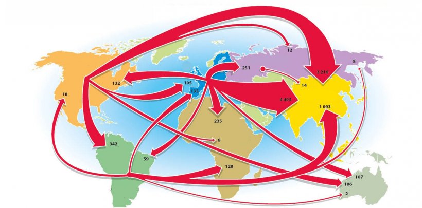 Main trade flows in 2020 in thousands of tons (trade of over 100,000 tons). Source: IFIP.
