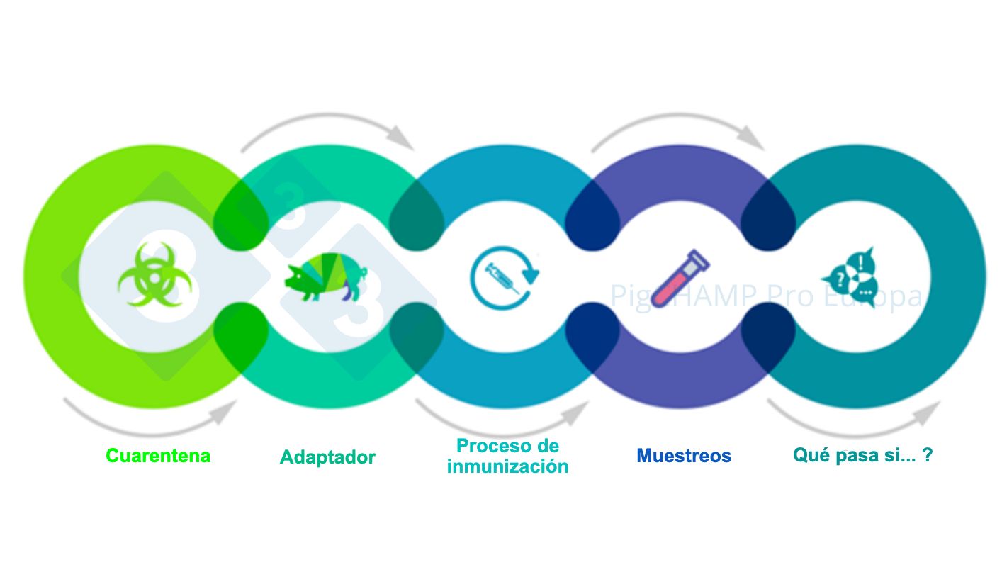 Figure 1. Key interconnected aspects that should be understood prior to the visit.
