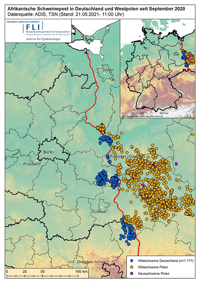 African swine fever in Germany and western Poland since September 2020. Source: ADIS, TSN (as of May 21, 2021).
