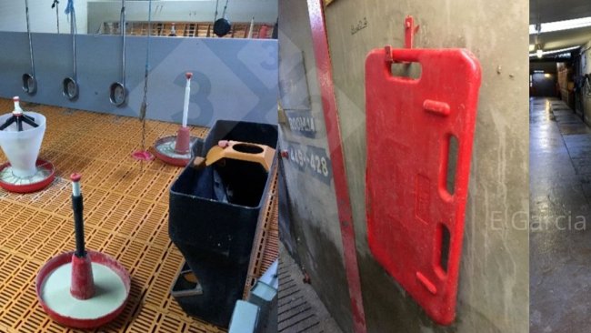 Figure 2. Having the room ready before the piglets arrive and having all the material in order and clean makes a huge difference in terms of hygiene, efficiency, and comfort for the piglets.