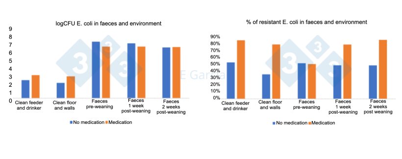 Figure 2. Levels of E coli and percentage of resistance in drinkers, feeders, floor, walls, and faeces in farms using or not using in-feed antibiotics and zinc oxide.
