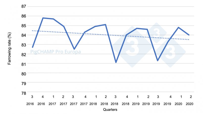 Graph 1. Farrowing rate by quarter of mating, mating period&nbsp;July&nbsp;16 - June 20.
