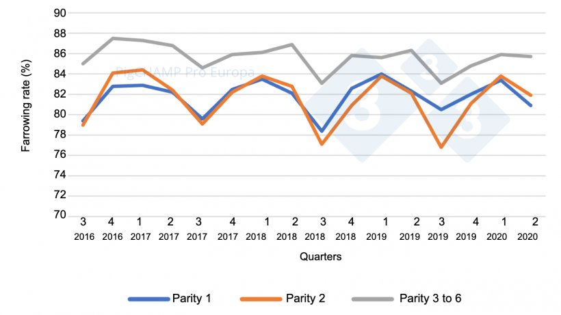 Graph&nbsp;4.&nbsp;Farrowing rate per parity and quarter of mating, mating period July 16-June 20.
