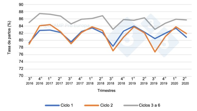 Graph 4. Farrowing rate per parity and quarter of mating, mating period July 16-June 20.
