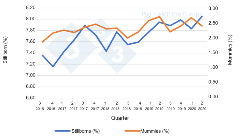 Graph 3. Percentages of stillbirths and mummies by quarter of mating, mating period July 16-June 20.