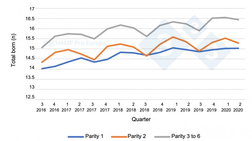 Graph&nbsp;5.&nbsp;Prolificacy by parity and quarters of mating, mating period July 16-June 20.
