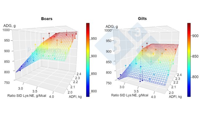 Figure 1. Modeling the effect of lysine to energy ratio and average daily consumption in entire males and females between 70 and 105 kg LW (Aymerich et al., 2020).