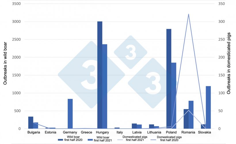 ASF outbreaks in wild boar and domestic pigs in the EU between January and June 2021
