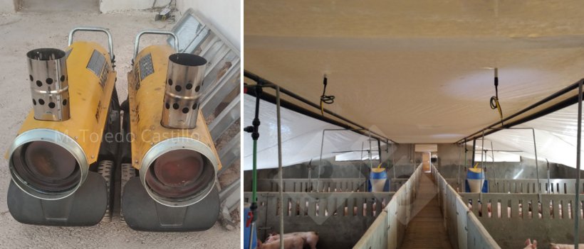 Photo 5 and 6: Placement of greenhouse type of cover and air heaters.
