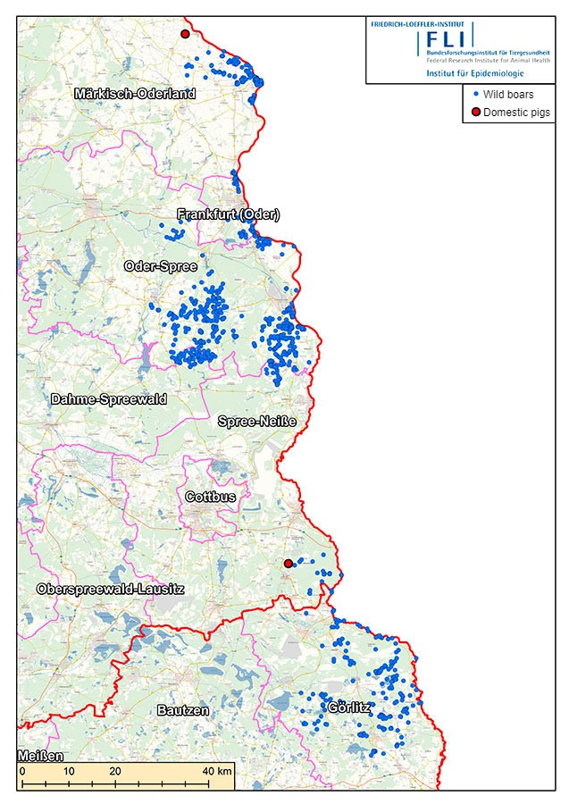 Map of ASF cases in Germany (as of July 16, 2021). Source: FLI