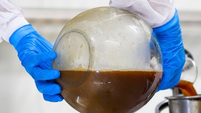 Industrial fermenter inoculation with yeast, Lallemand yeast production plant in Salutaguse, Estonia. Photo: Lallemand