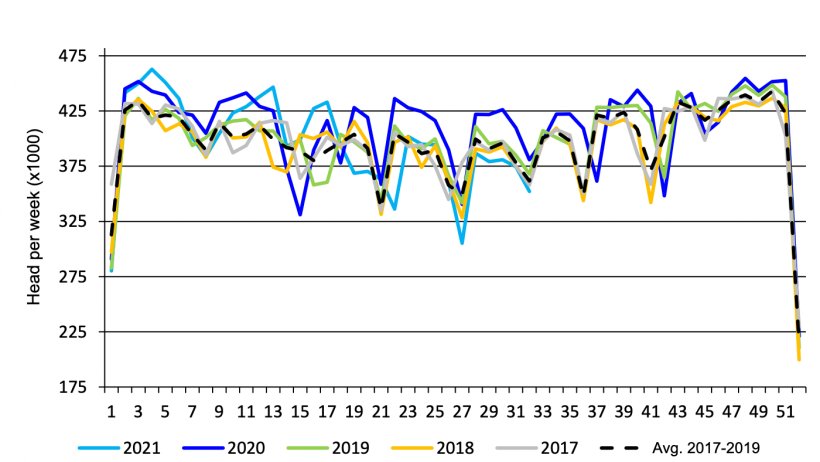 Canadian weekly federal market hog slaughter. Source: USDA from Agriculture and Agri-Food Canada.