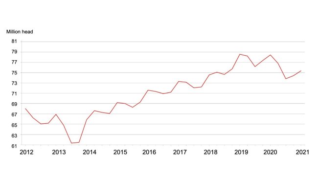 Quarterly hogs and pigs inventory - United States: September 1. Source: USDA.