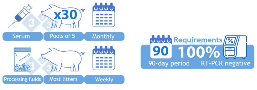 Category II Positive Stable. OPTION 2) Combination of serum and processing fluids. Serum from 30 due-to-wean piglets tested in pools of five monthly.&nbsp; One aggregated sample of processing fluids tested weekly by RT-PCR. Most litters processed during the week should be represented in the sample. All samples are required to be negative in a 90-day period in order to achieve the category.
